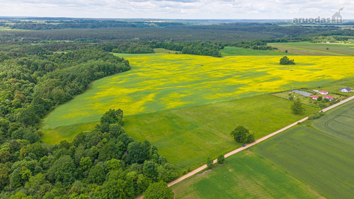 Parduodamas 2.4426 Ha Ploto Žemės Ūkio - nuotraukos Nr. 16