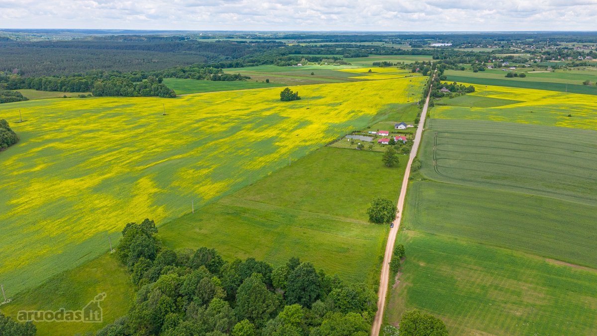 Parduodamas 2.4426 Ha Ploto Žemės Ūkio - nuotraukos Nr. 17