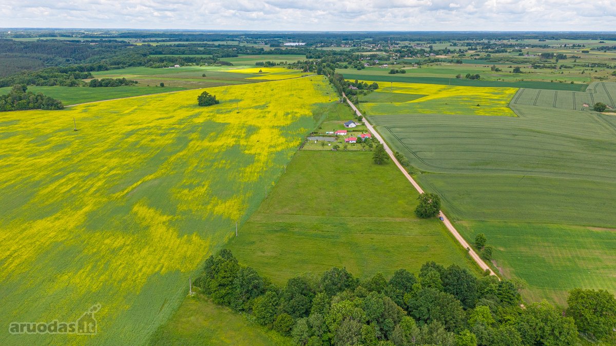 Parduodamas 2.4426 Ha Ploto Žemės Ūkio - nuotraukos Nr. 18