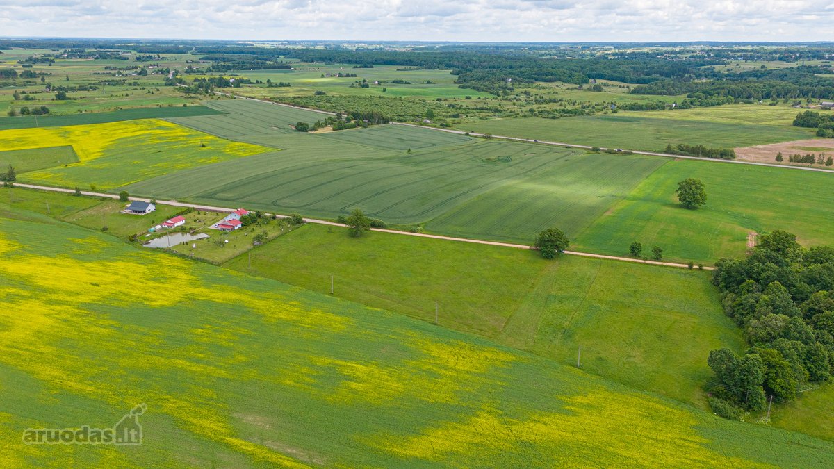 Parduodamas 2.4426 Ha Ploto Žemės Ūkio - nuotraukos Nr. 20