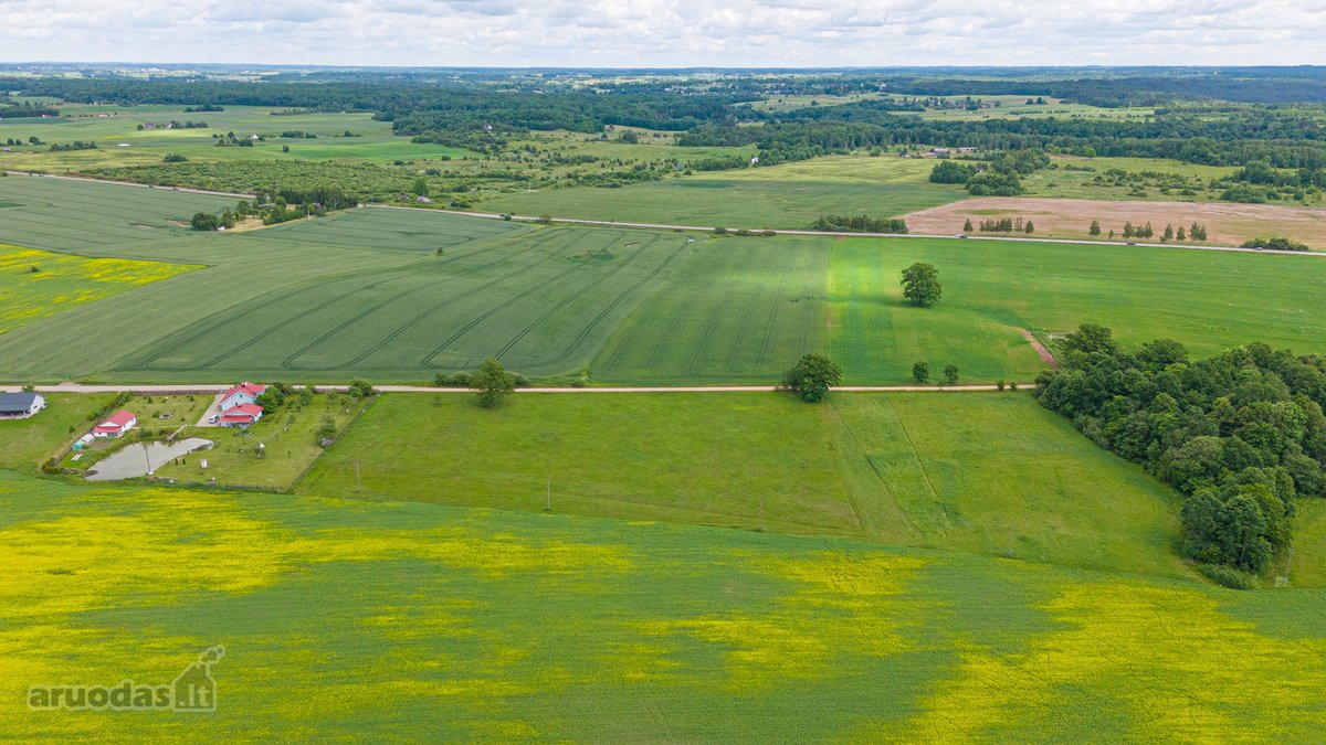 Parduodamas 2.4426 Ha Ploto Žemės Ūkio - nuotraukos Nr. 21