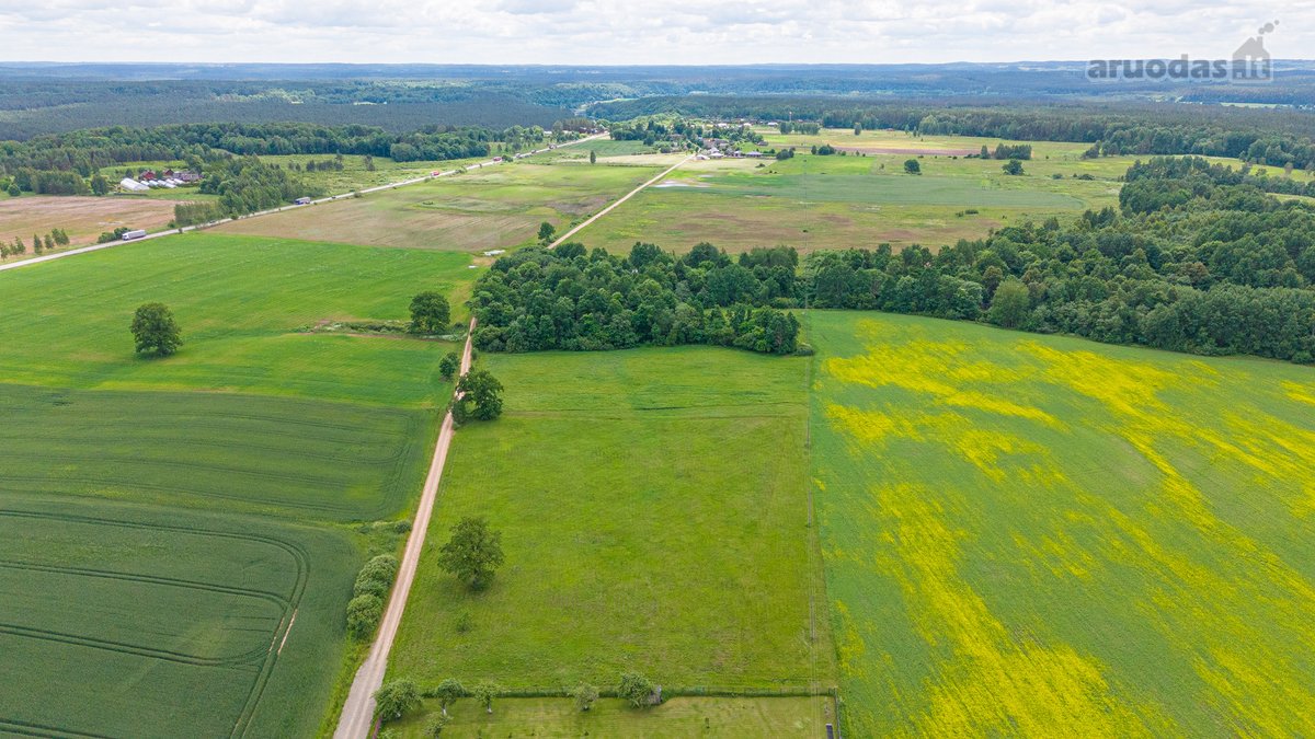 Parduodamas 2.4426 Ha Ploto Žemės Ūkio - nuotraukos Nr. 24