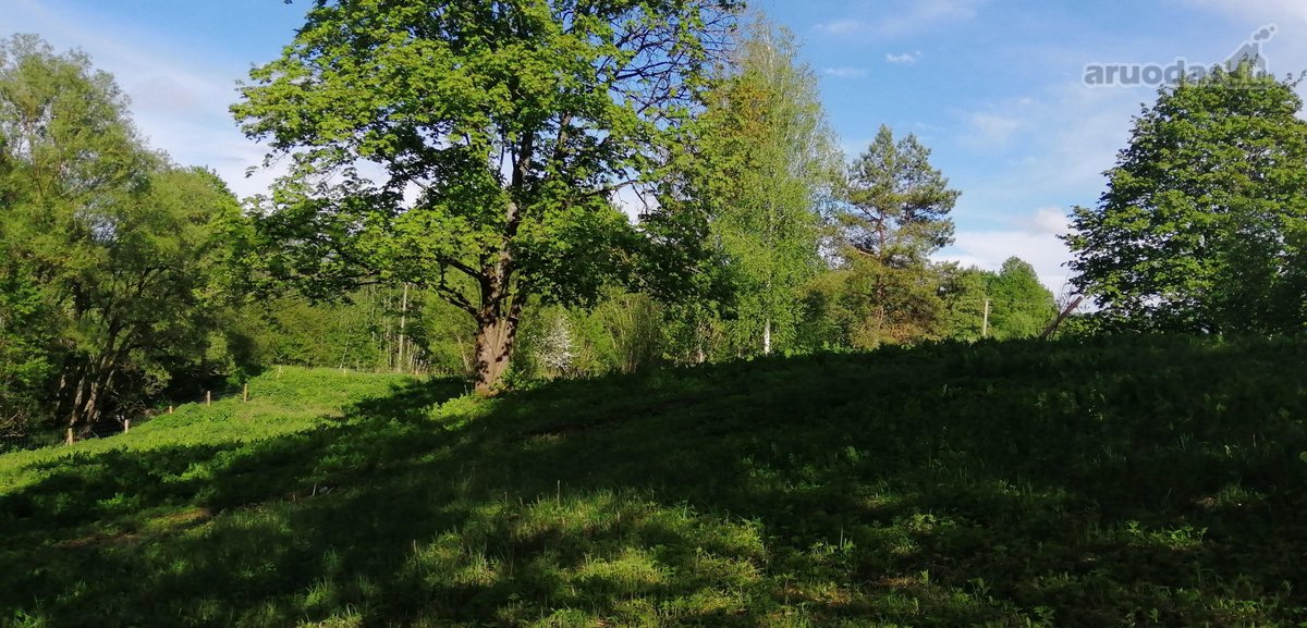 Išnuomojamas 91a sklypas šalia Maišiagalos - nuotraukos Nr. 3