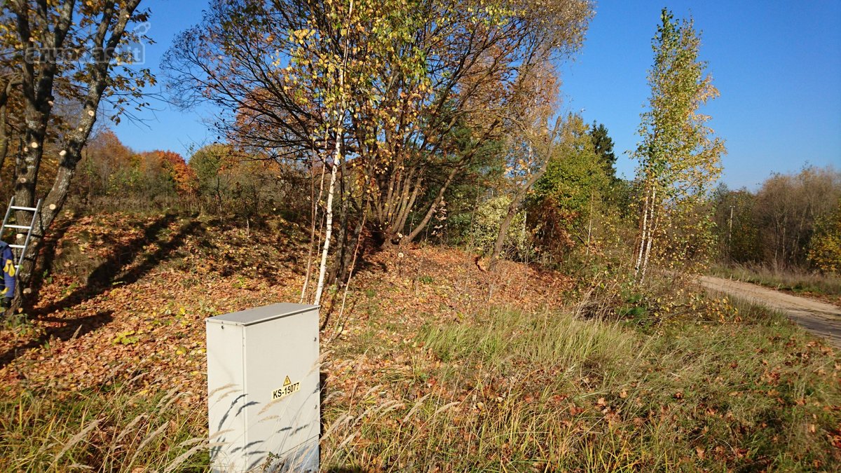 Išnuomojamas 91a sklypas šalia Maišiagalos - nuotraukos Nr. 8