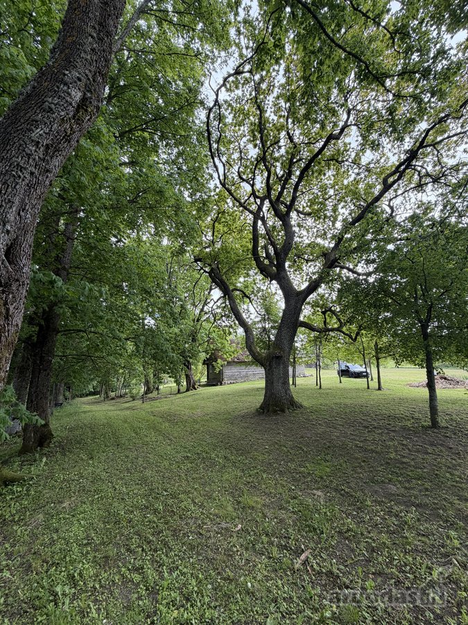 Išskirtinė sodyba gamtos apsuptyje su 2,5 ha - nuotraukos Nr. 2