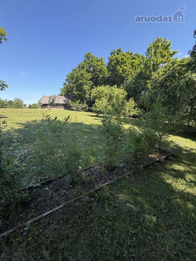 Išskirtinė sodyba gamtos apsuptyje su 2,5 ha - nuotraukos Nr. 19