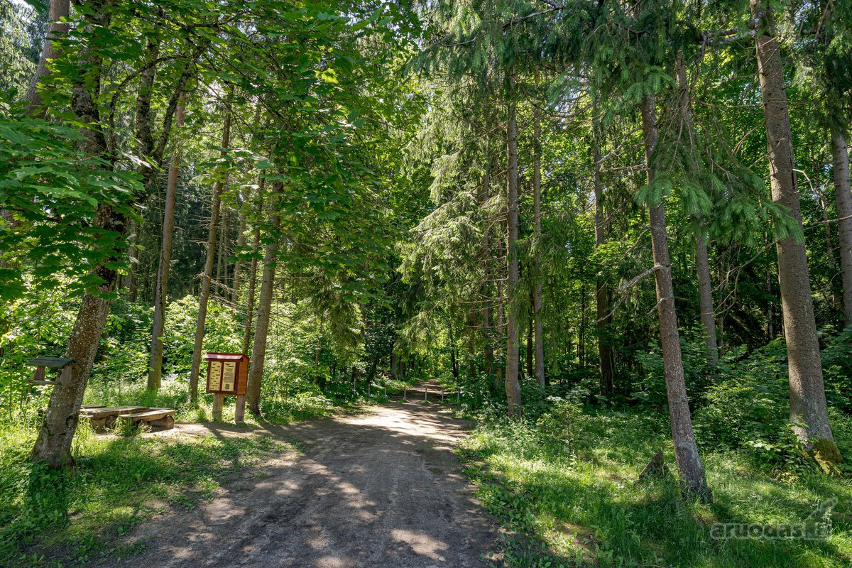Parduodami namų valdos sklypai Didžiojoje - nuotraukos Nr. 10
