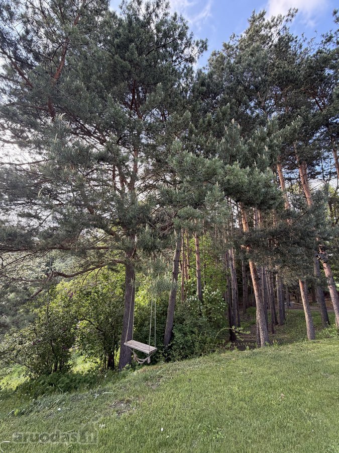 Parduodamas unikalus sklypas besiribojantis - nuotraukos Nr. 17