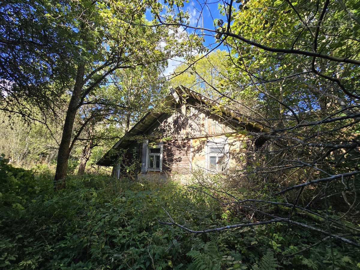 Norintiems Įsikurti Laukinėje Gamtoje