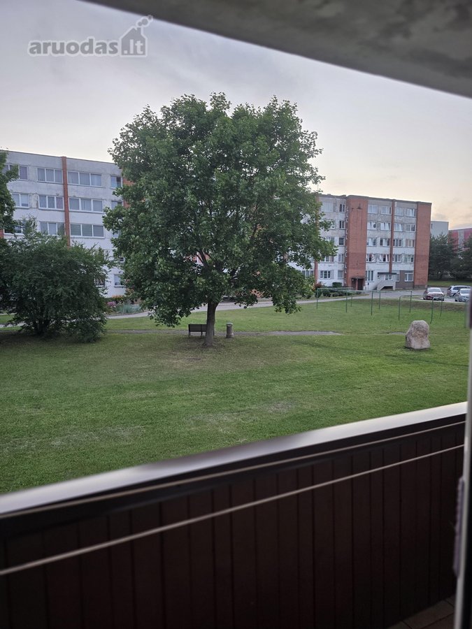 Nuomojamas jaukus 3 kambarių butas, įsikūręs