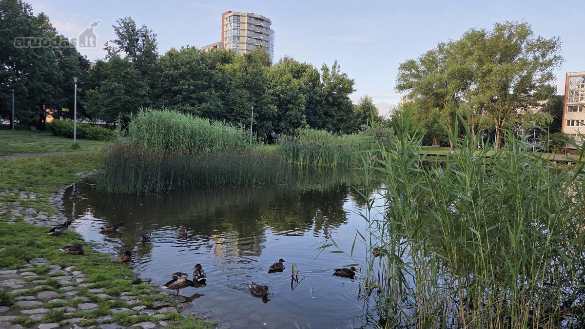 Parduodamas trijų kambarių butas su balkonu - nuotraukos Nr. 40