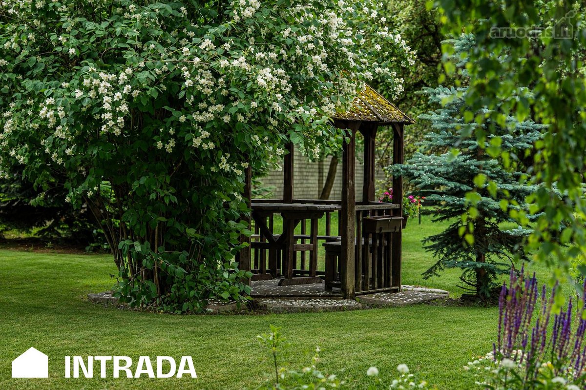 Miesto Centras. Erdvė. Gyvenimas Be Kamščių. - nuotraukos Nr. 32