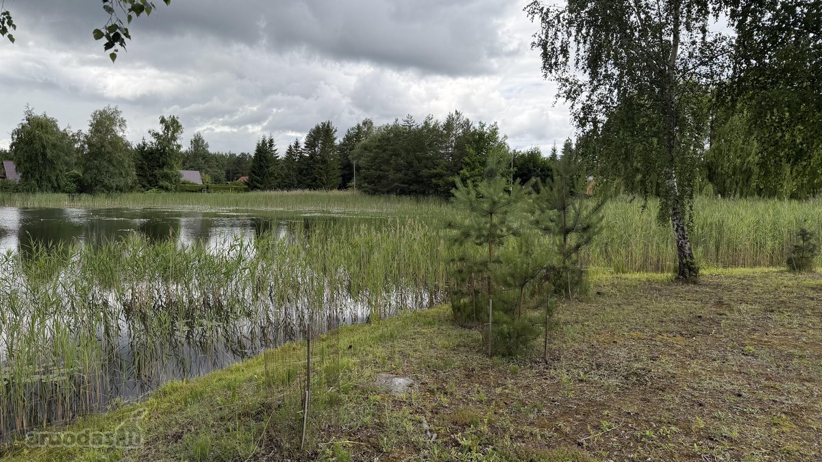 24 Arai Unikalioje Vietoje Pusiasalio - nuotraukos Nr. 3