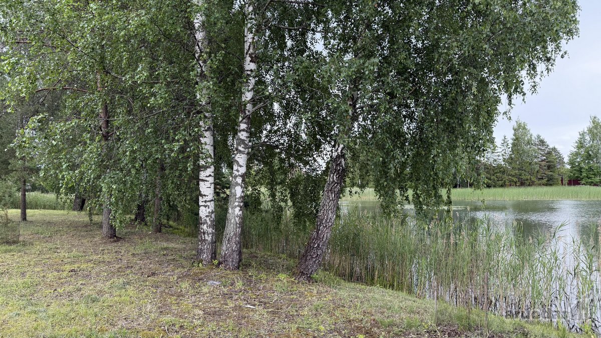 24 Arai Unikalioje Vietoje Pusiasalio - nuotraukos Nr. 2