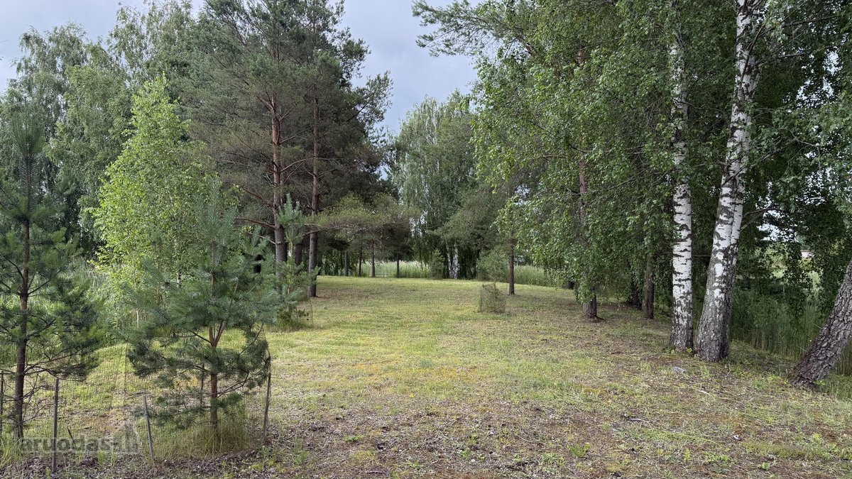 24 Arai Unikalioje Vietoje Pusiasalio - nuotraukos Nr. 7