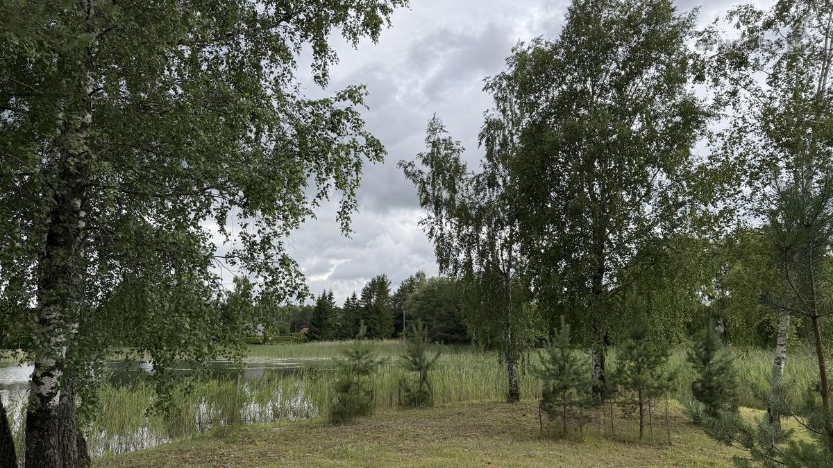 24 Arai Unikalioje Vietoje Pusiasalio - nuotraukos Nr. 8