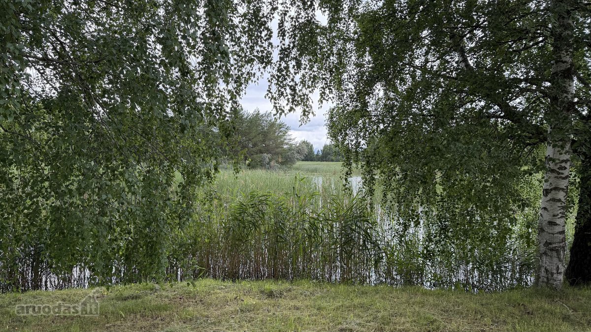 24 Arai Unikalioje Vietoje Pusiasalio - nuotraukos Nr. 10