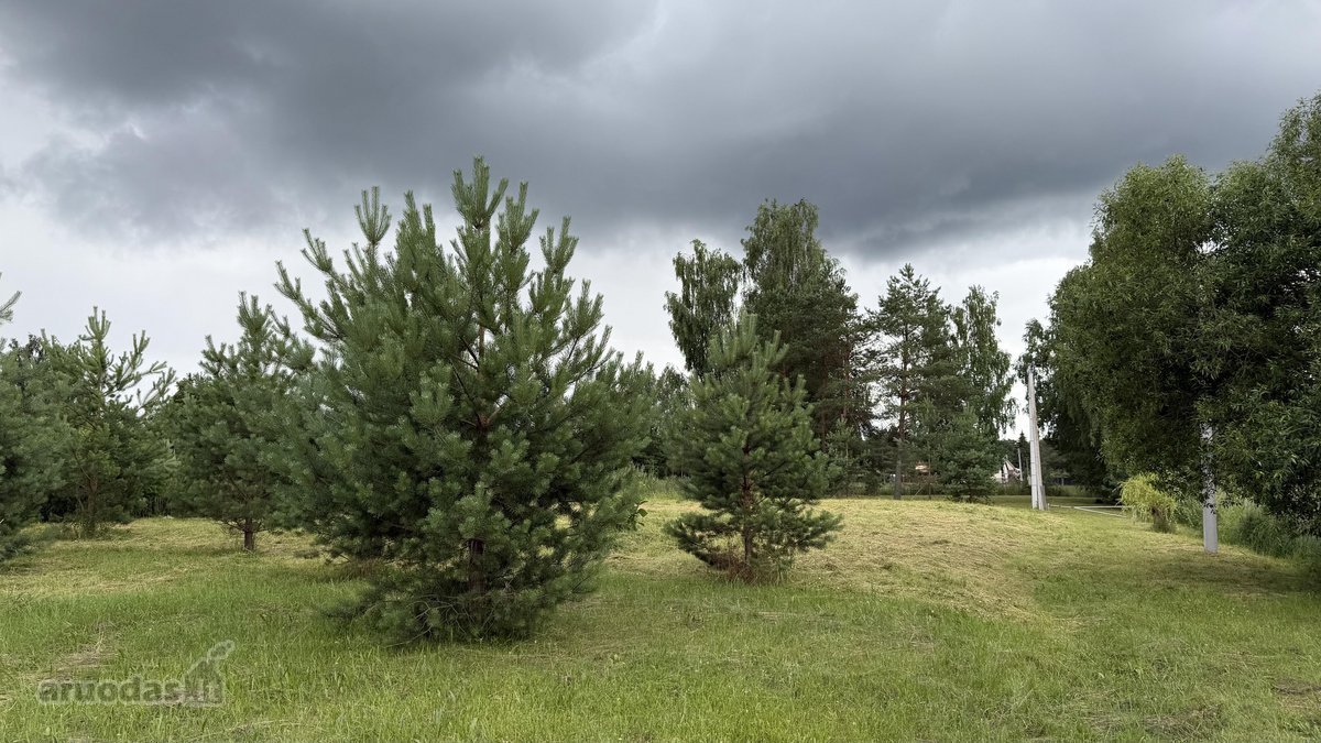 24 Arai Unikalioje Vietoje Pusiasalio - nuotraukos Nr. 5
