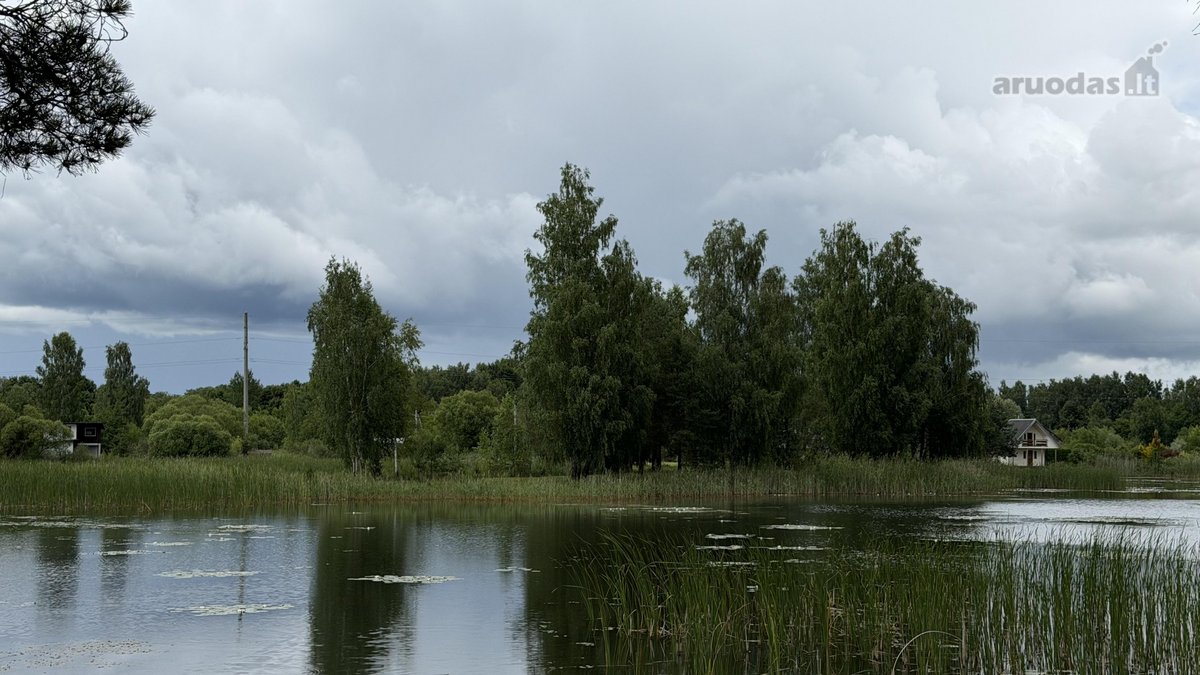24 Arai Unikalioje Vietoje Pusiasalio - nuotraukos Nr. 12