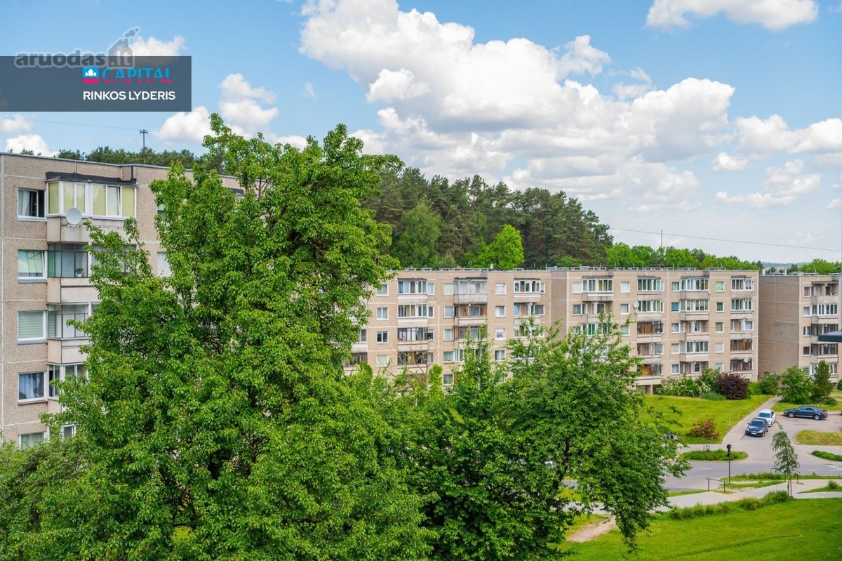 2 Kambarių Išmanus Butas – Vaduvos G., Vilnius - nuotraukos Nr. 19