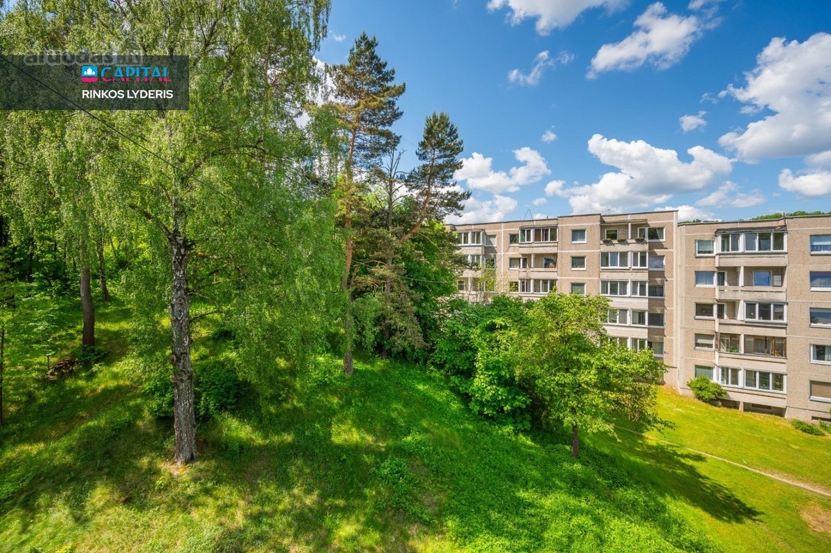 2 Kambarių Išmanus Butas – Vaduvos G., Vilnius - nuotraukos Nr. 20