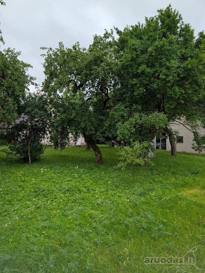 Lazdijų mieste, Kalnų g.15 parduodamas 32 arų