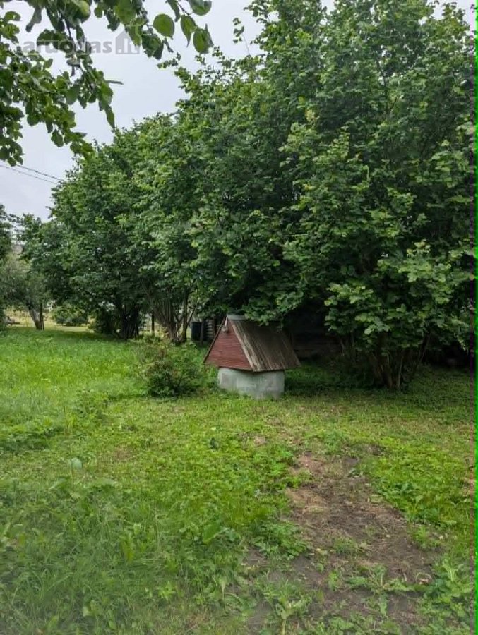 Lazdijų mieste, Kalnų g.15 parduodamas 32 arų - nuotraukos Nr. 17