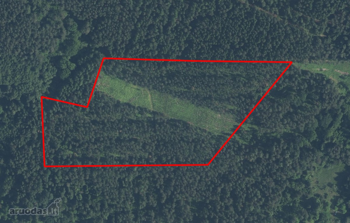 Parduodamas miškas Stripūnų kaime 4,1383 ha