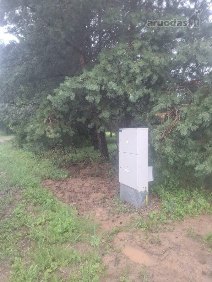 Pušyno Apsuptyje – Sklypas Netoli Birštono  - nuotraukos Nr. 10