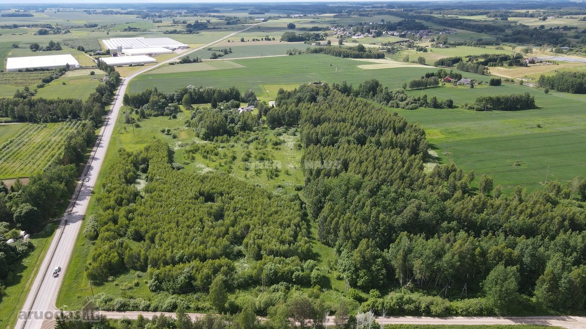 Parduodamas 3,6ha žemės ūkio paskirties - nuotraukos Nr. 6