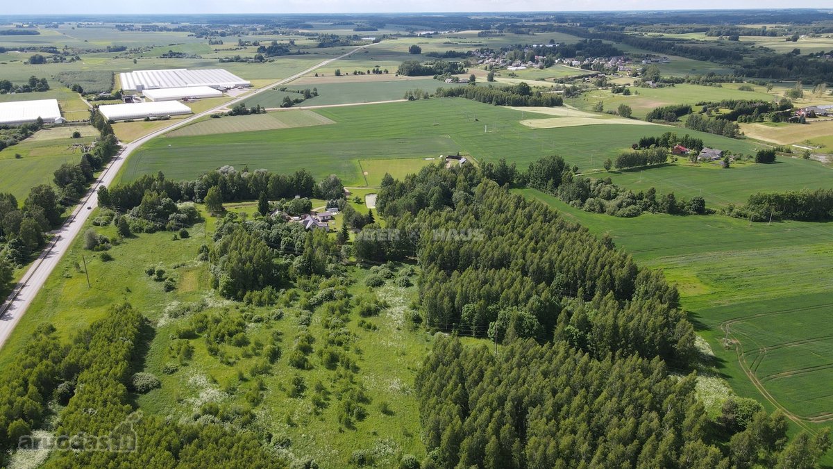 Parduodamas 3,6ha žemės ūkio paskirties - nuotraukos Nr. 7