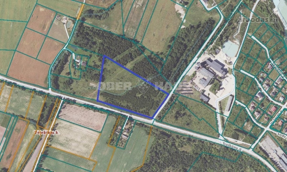 Parduodamas 3,6ha žemės ūkio paskirties - nuotraukos Nr. 8