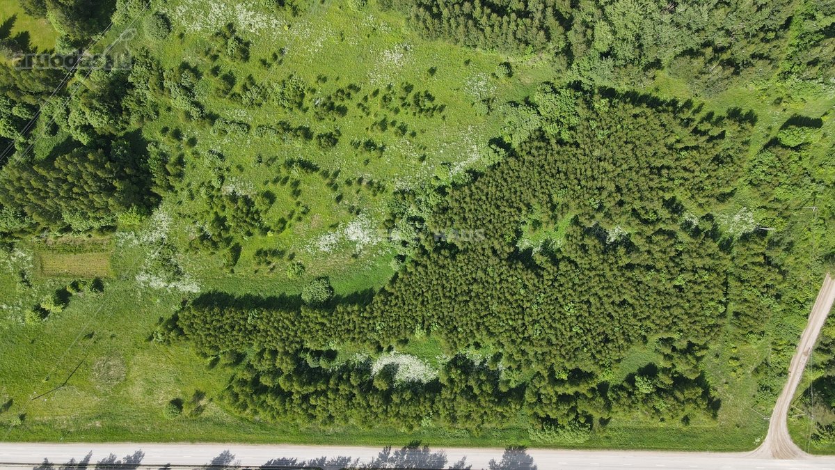 Parduodamas 3,6ha žemės ūkio paskirties - nuotraukos Nr. 9