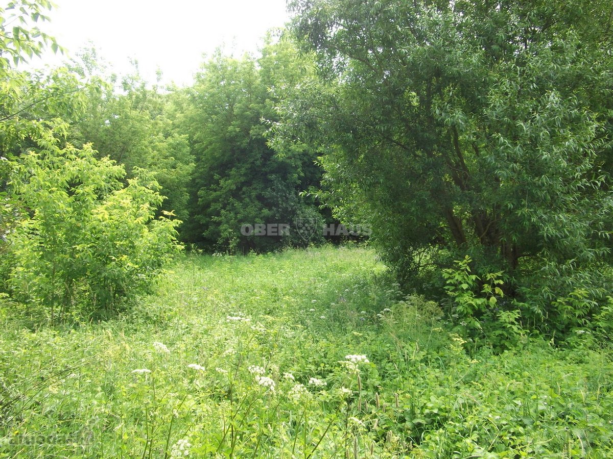 Parduodamas 3,6ha žemės ūkio paskirties - nuotraukos Nr. 10