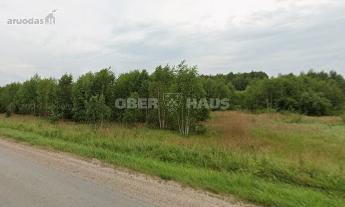 Parduodamas 3,6ha žemės ūkio paskirties - nuotraukos Nr. 13