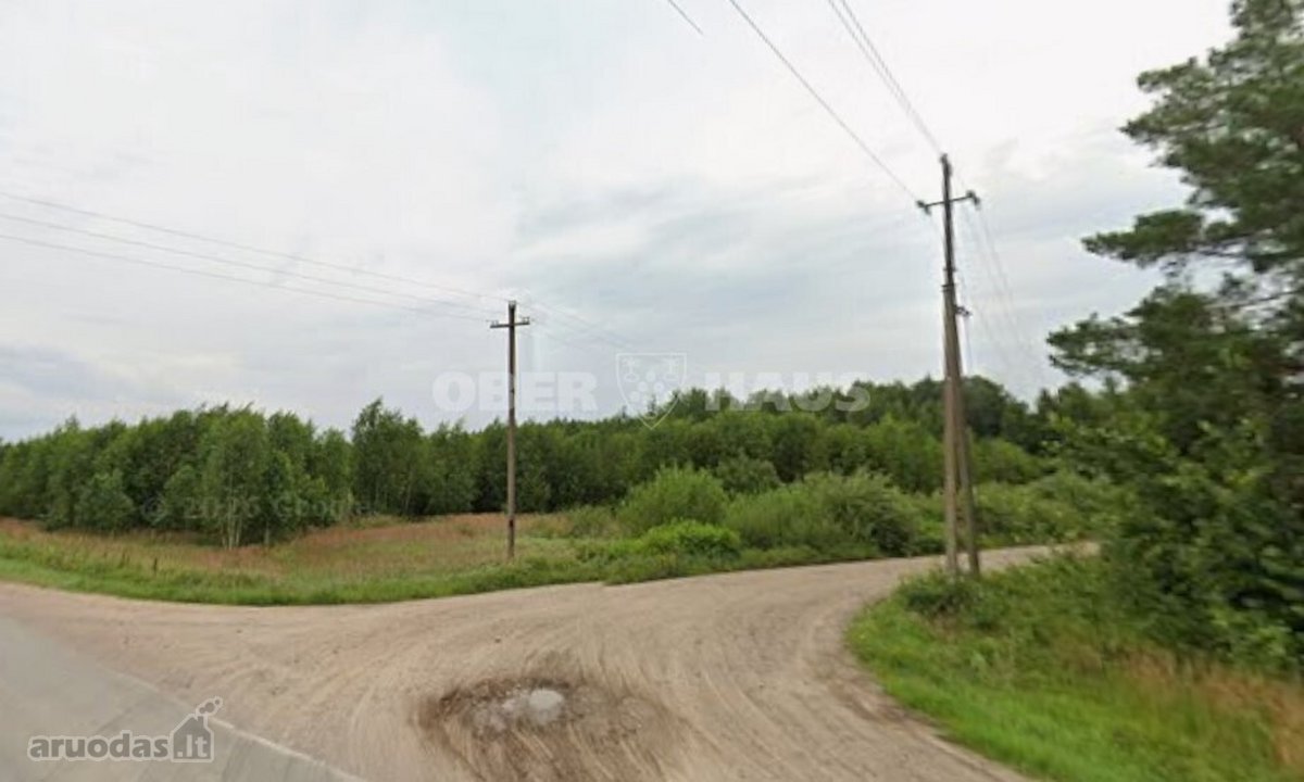 Parduodamas 3,6ha žemės ūkio paskirties - nuotraukos Nr. 14