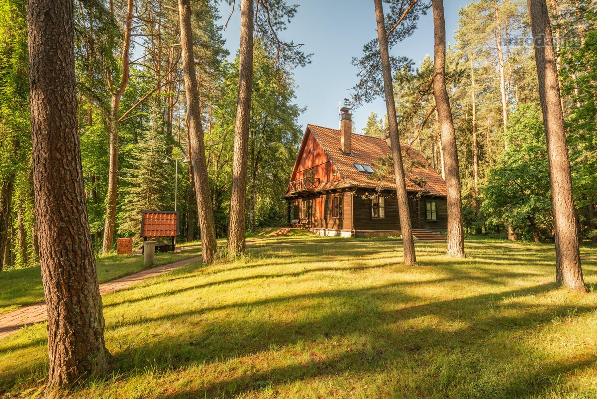 Sklypas Miške Prie Ežero – Unikali Vieta, - nuotraukos Nr. 11