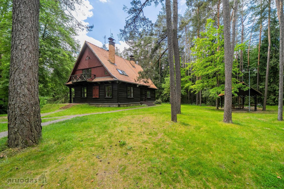 Sklypas Miške Prie Ežero – Unikali Vieta, - nuotraukos Nr. 14