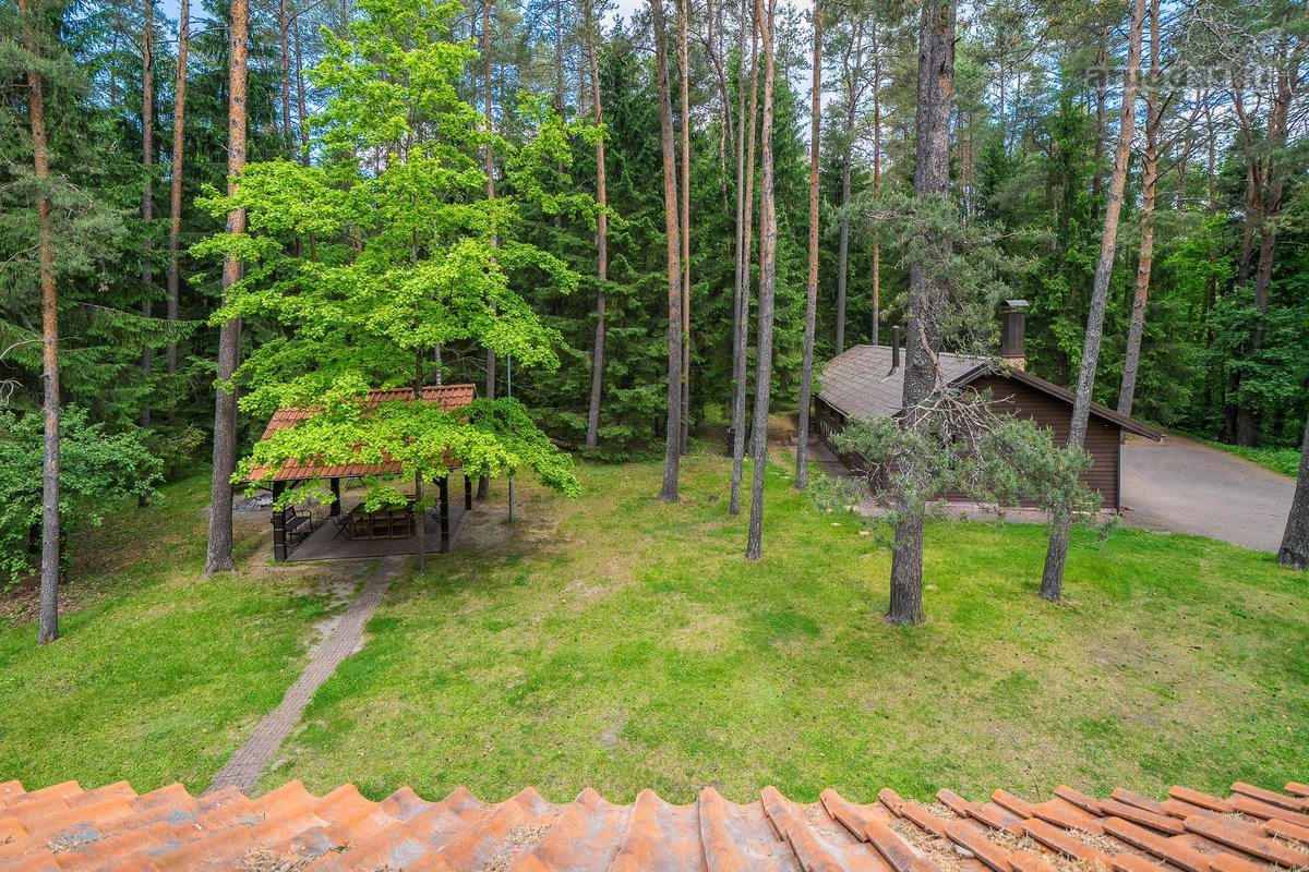 Sklypas Miške Prie Ežero – Unikali Vieta, - nuotraukos Nr. 22