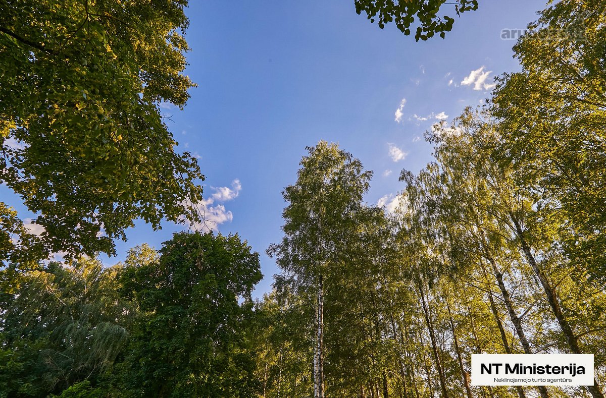 Parduodamas 7 Arų Namų Valdos Sklypas Su - nuotraukos Nr. 13