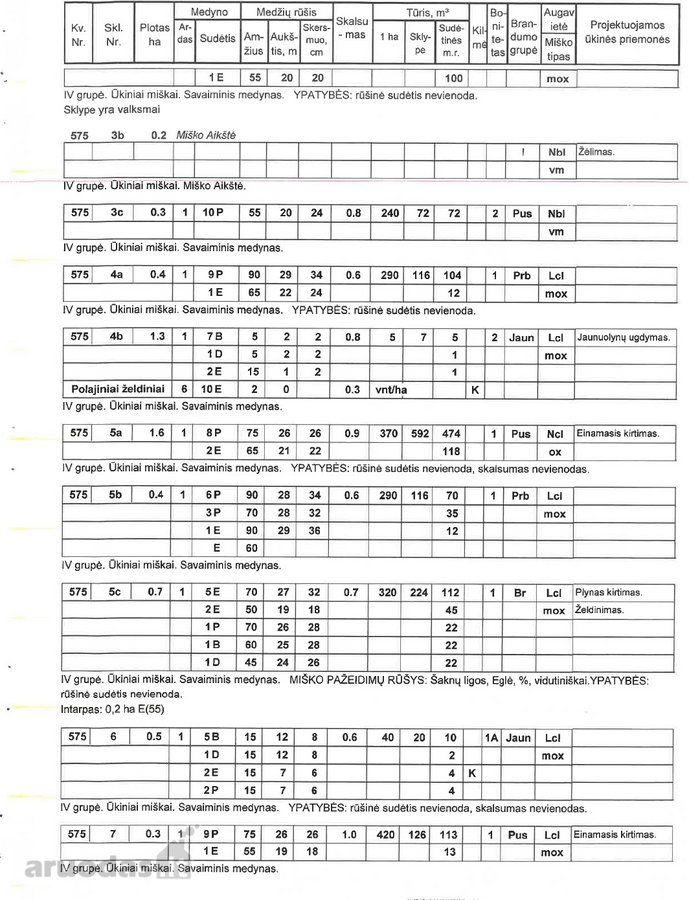 Parduodami perspektyvūs miško sklypai – - nuotraukos Nr. 9