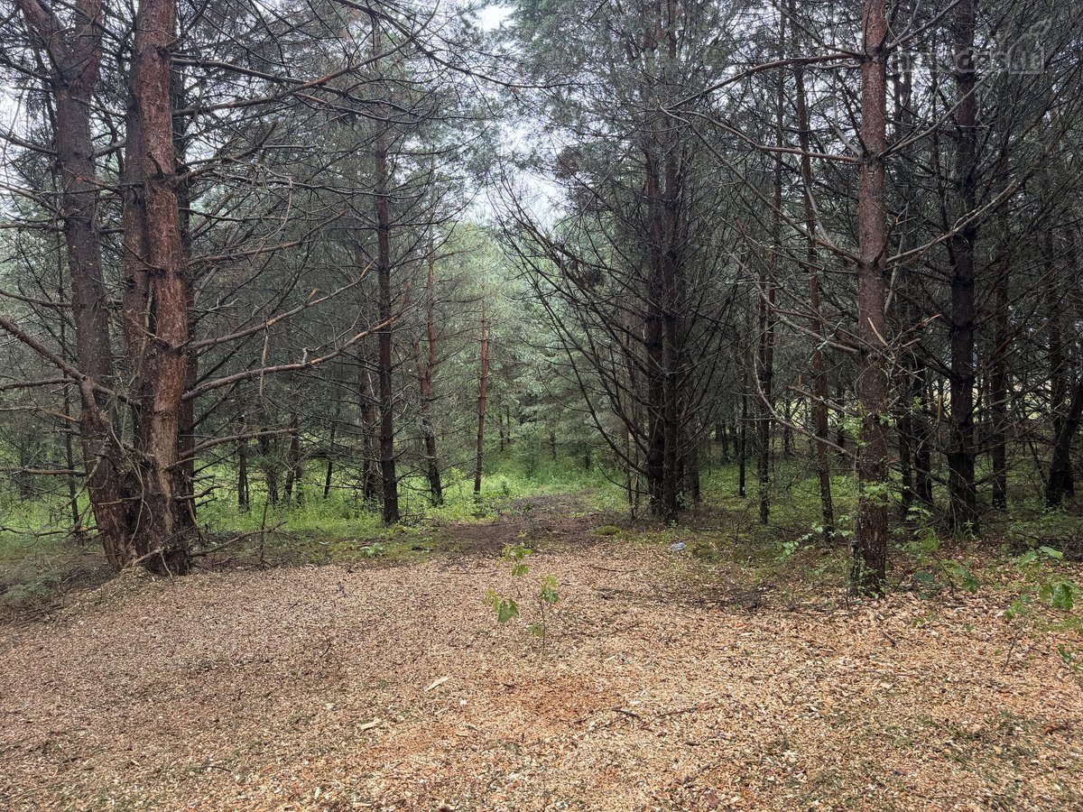 Parduodami naujai suformuoti namų valdos - nuotraukos Nr. 3