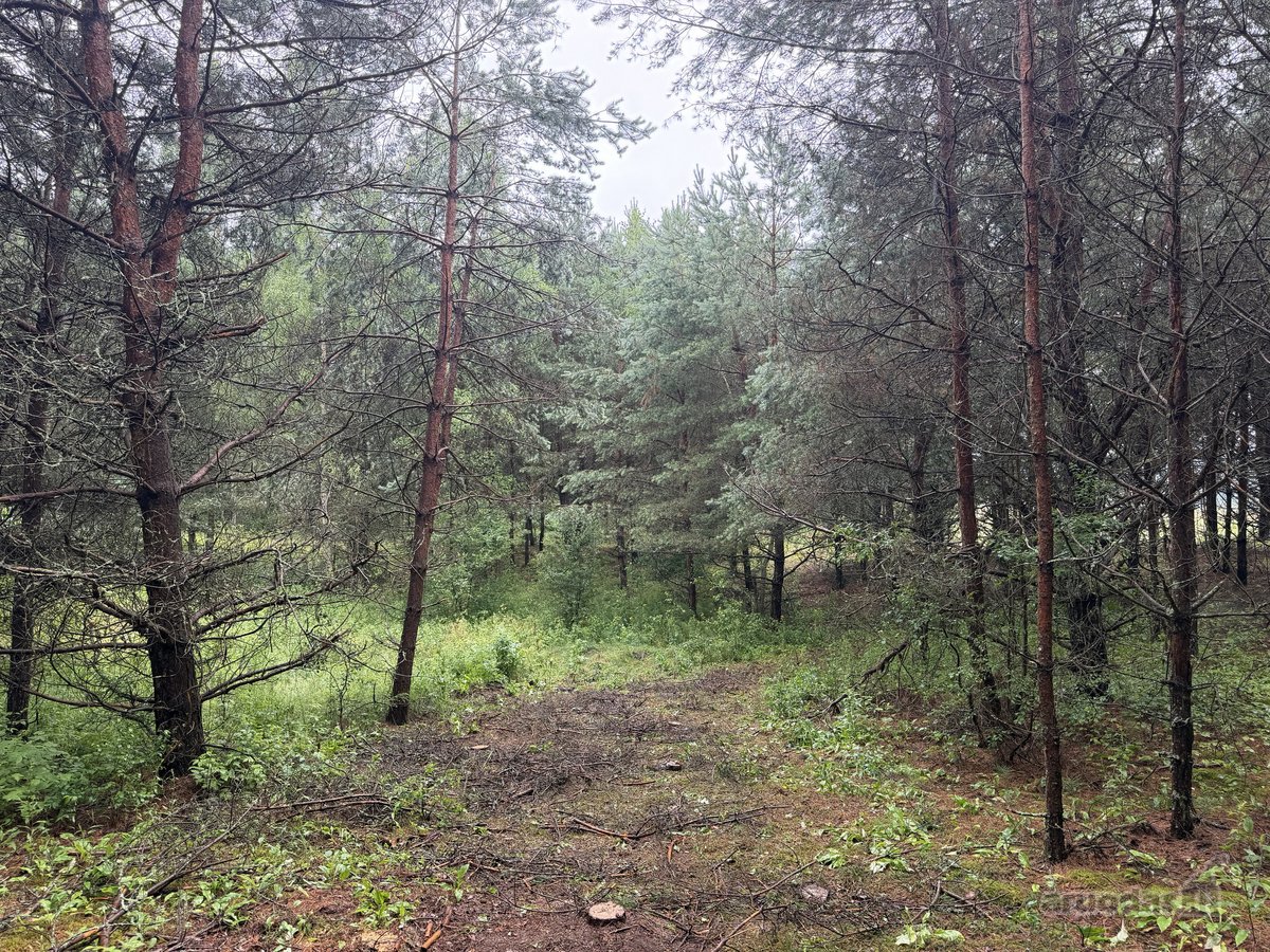 Parduodami naujai suformuoti namų valdos - nuotraukos Nr. 4