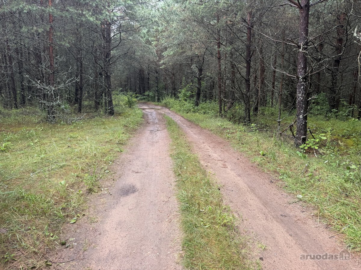 Parduodami naujai suformuoti namų valdos - nuotraukos Nr. 2