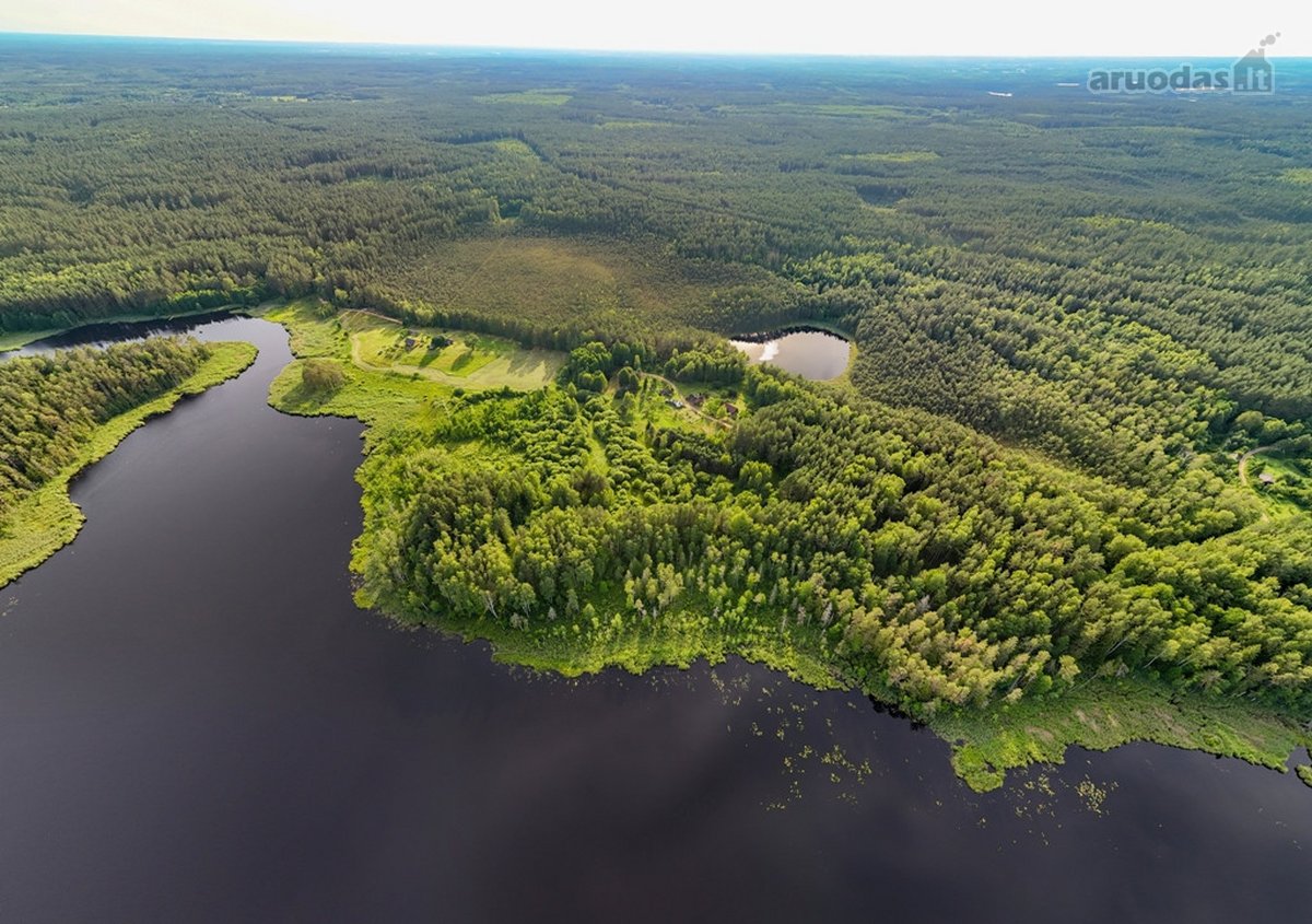 Tarp dviejų ežerų, Labanoro regioninio parko - nuotraukos Nr. 2