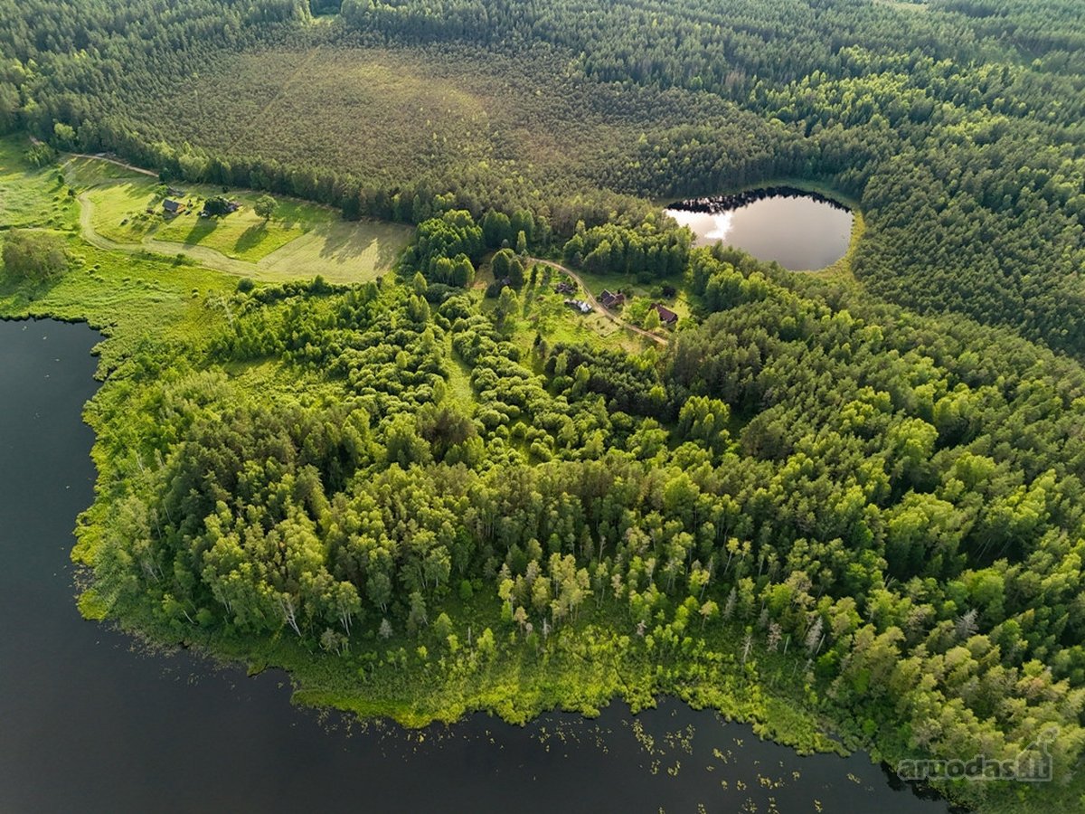 Tarp dviejų ežerų, Labanoro regioninio parko - nuotraukos Nr. 3