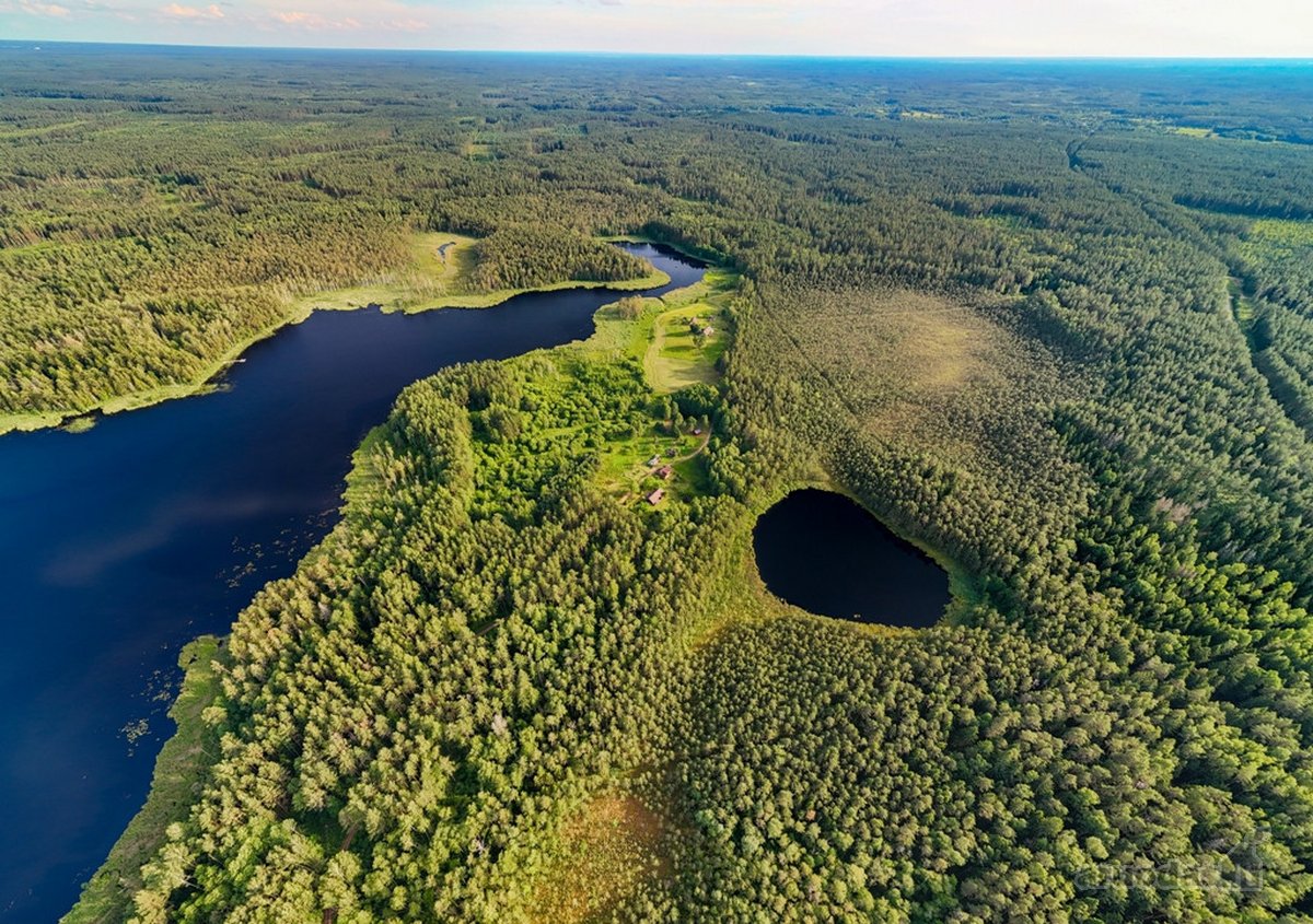 Tarp dviejų ežerų, Labanoro regioninio parko - nuotraukos Nr. 5