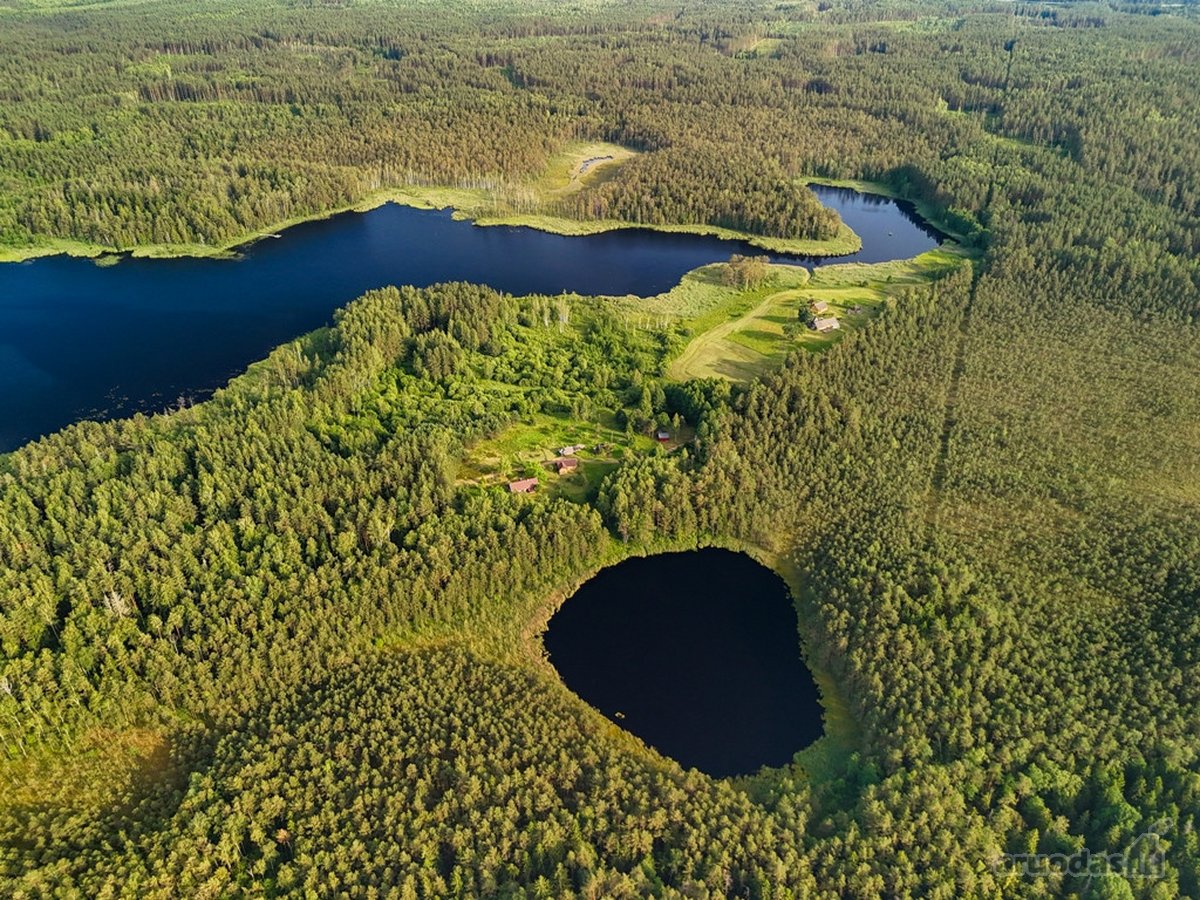 Tarp dviejų ežerų, Labanoro regioninio parko - nuotraukos Nr. 6