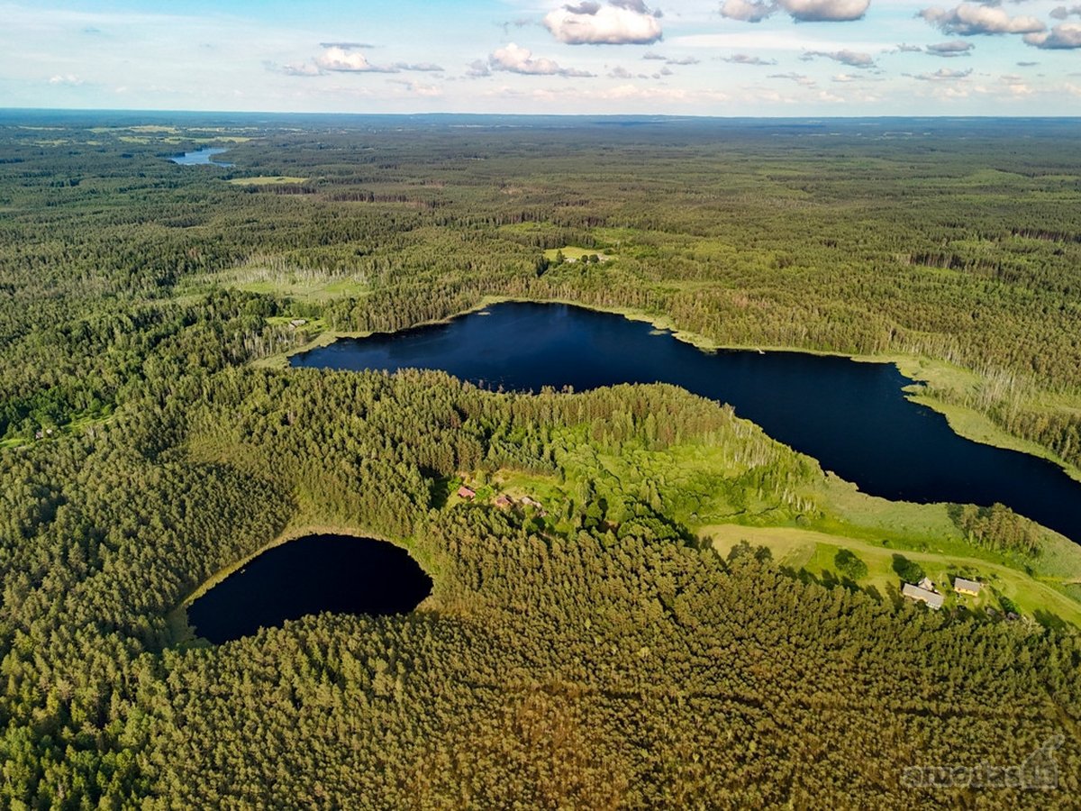 Tarp dviejų ežerų, Labanoro regioninio parko - nuotraukos Nr. 7