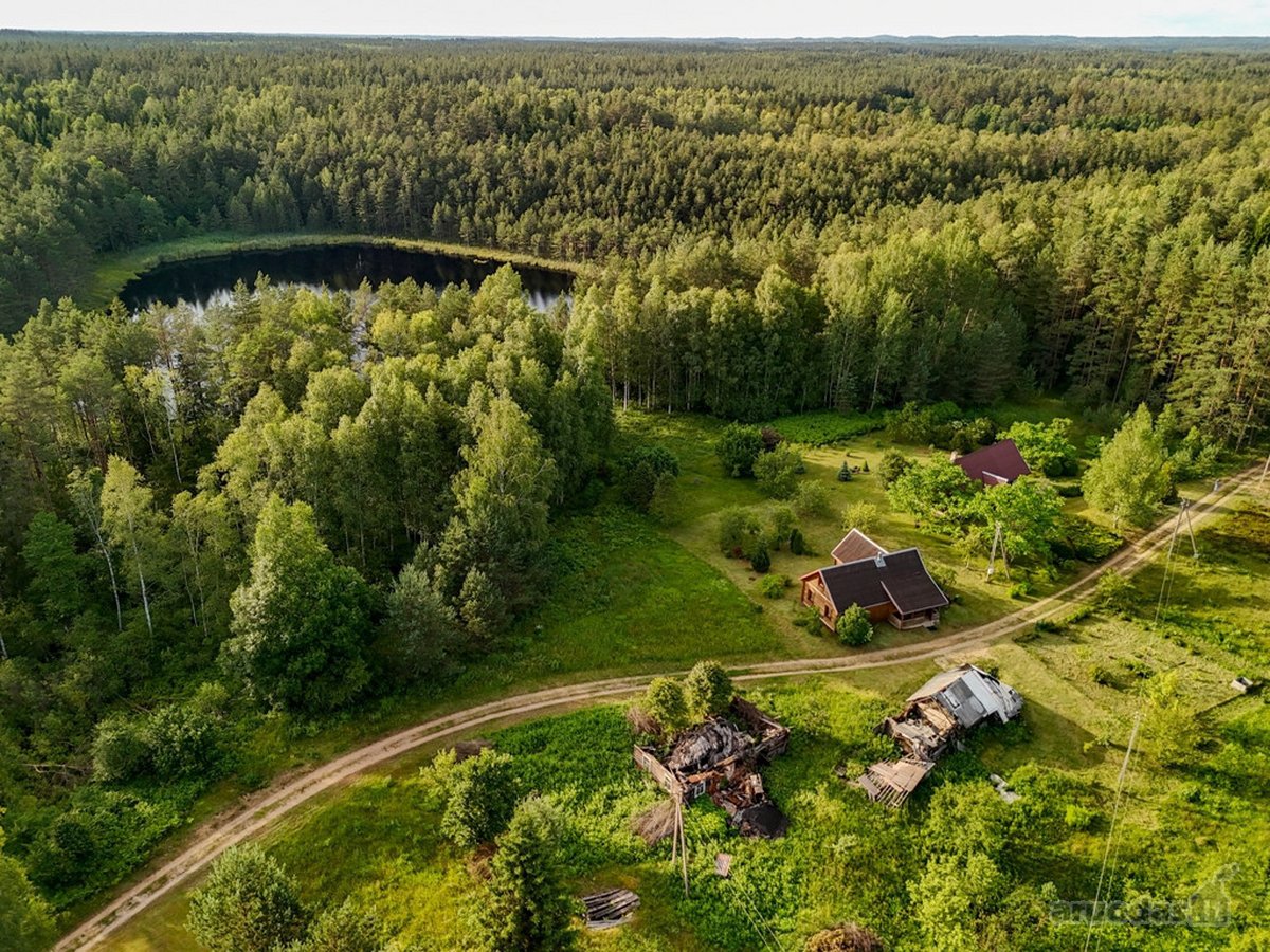 Tarp dviejų ežerų, Labanoro regioninio parko - nuotraukos Nr. 8